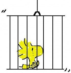 prigione